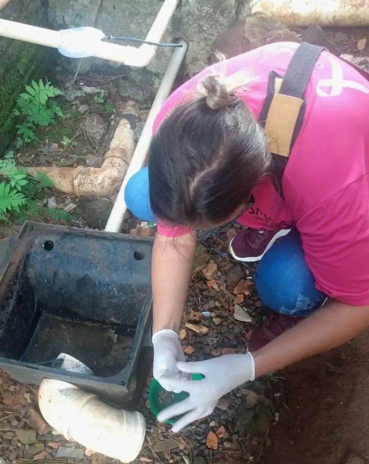 Aumenta infestação do mosquito da dengue em Francisco&nbsp;Beltrão