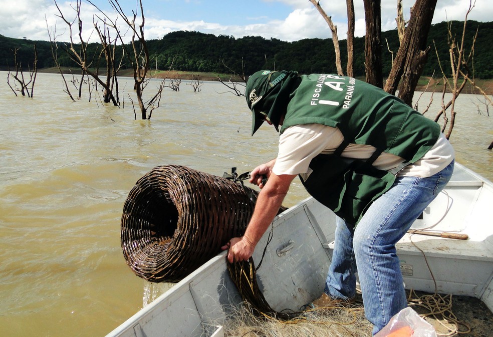 Piracema começa, e pesca de espécies nativas fica proibida por 4 meses no&nbsp;Paraná