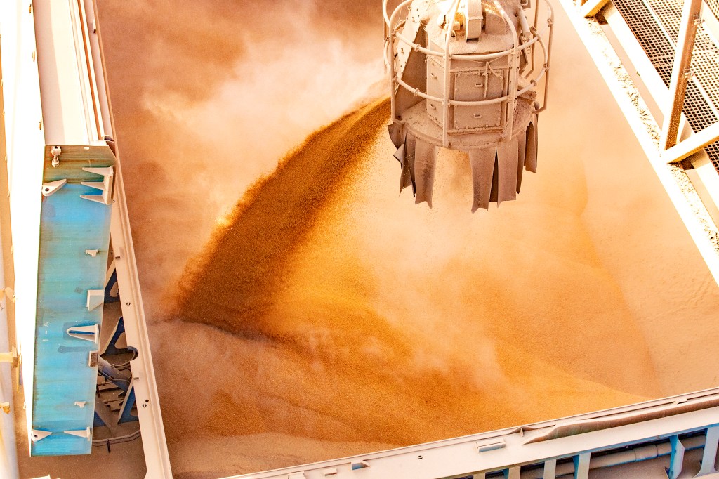 Volume de milho embarcado em janeiro é 161% superior do que em 2021 no Porto de&nbsp;Paranaguá