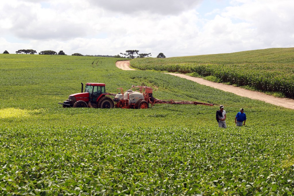 Safra de verão deve alcançar 24,7 milhões de toneladas no&nbsp;Paraná