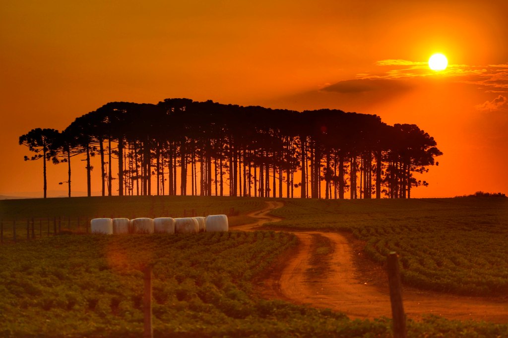 Onda de calor atinge Sudoeste nesta semana; temperatura pode ficar até 7 graus acima da&nbsp;média