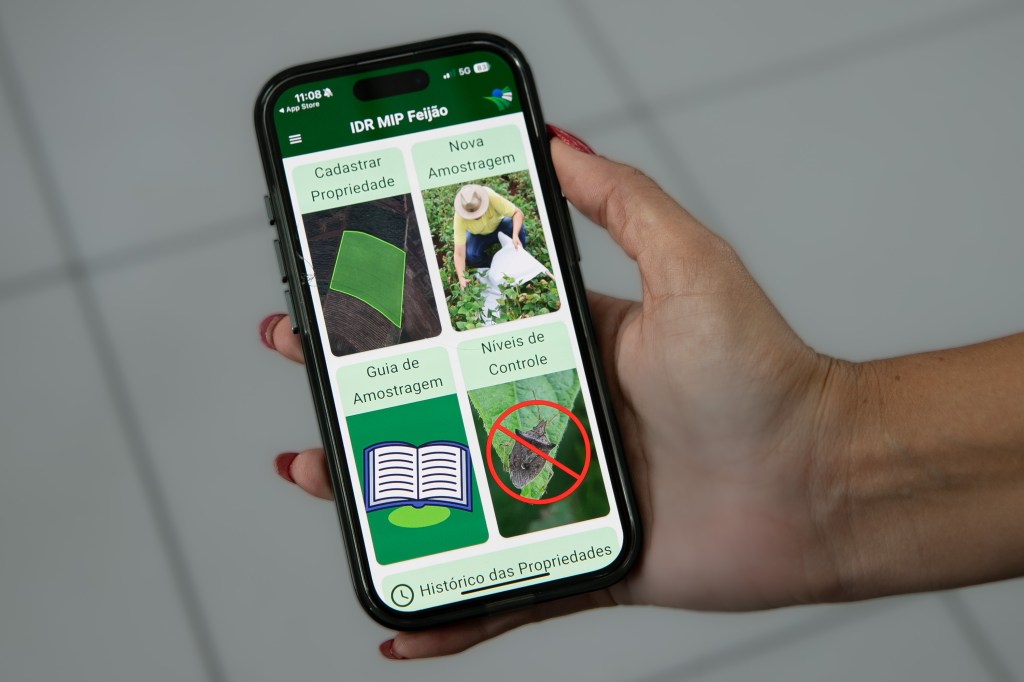 Líder nacional em produção de feijão, Paraná ganha aplicativo para monitorar&nbsp;pragas
