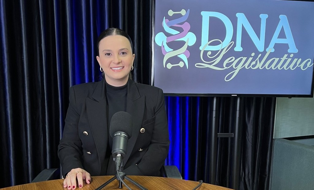 Avança o trabalho de revisão da Lei Orgânica na Câmara de Francisco&nbsp;Beltrão