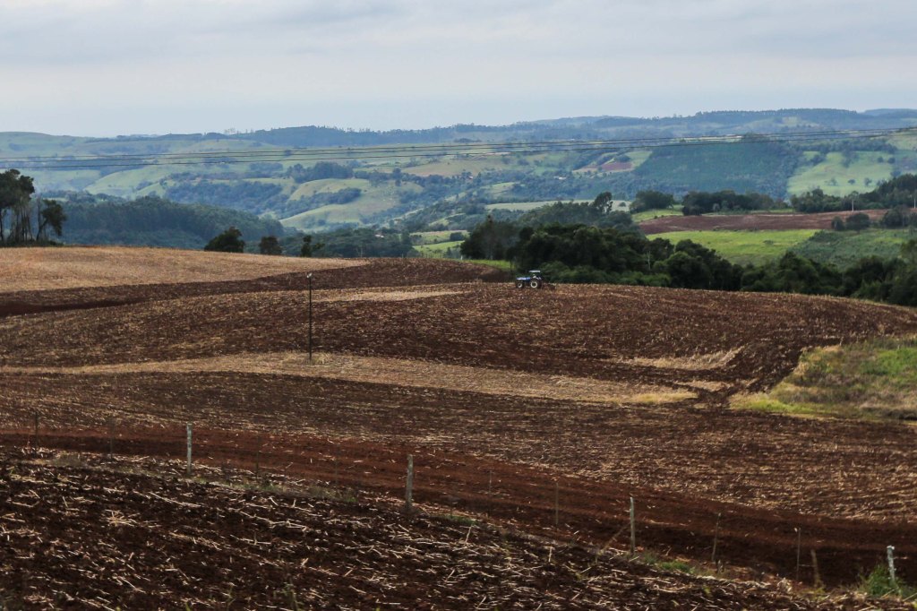 Produtores da região Sudoeste entram no vazio sanitário da soja, que vai até&nbsp;setembro