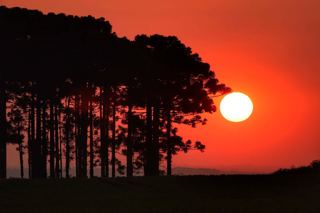 Temperaturas se aproximam dos 30ºC no Paraná até o fim da&nbsp;semana