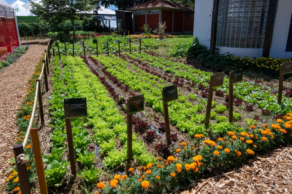 Itaipu e Itaipu Parquetec abrem cadastro de profissionais para ministrar oficinas de hortas no PR e sul do&nbsp;MS