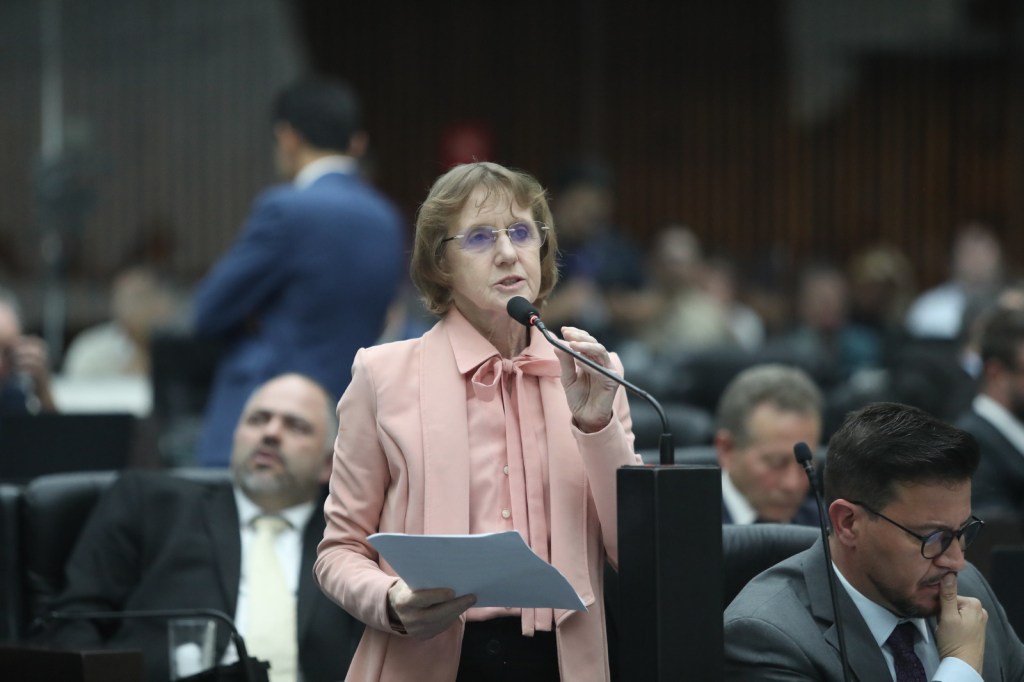 Deputada Luciana Rafagnin solicita ao DNIT redutores de velocidade e duplicação da BR-163 no&nbsp;Sudoeste