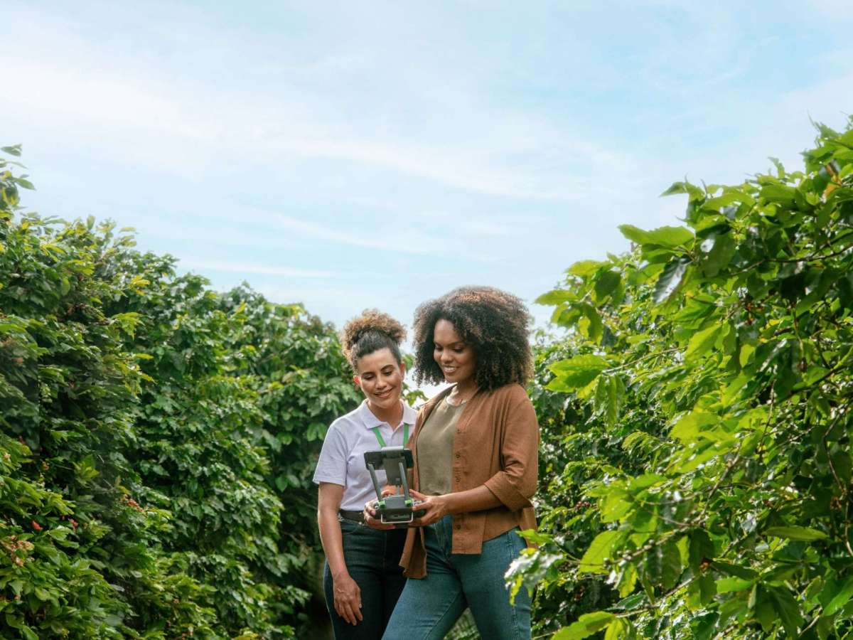 Sicredi reforça liderança no crédito rural do Paraná, com 23,4% do volume&nbsp;liberado