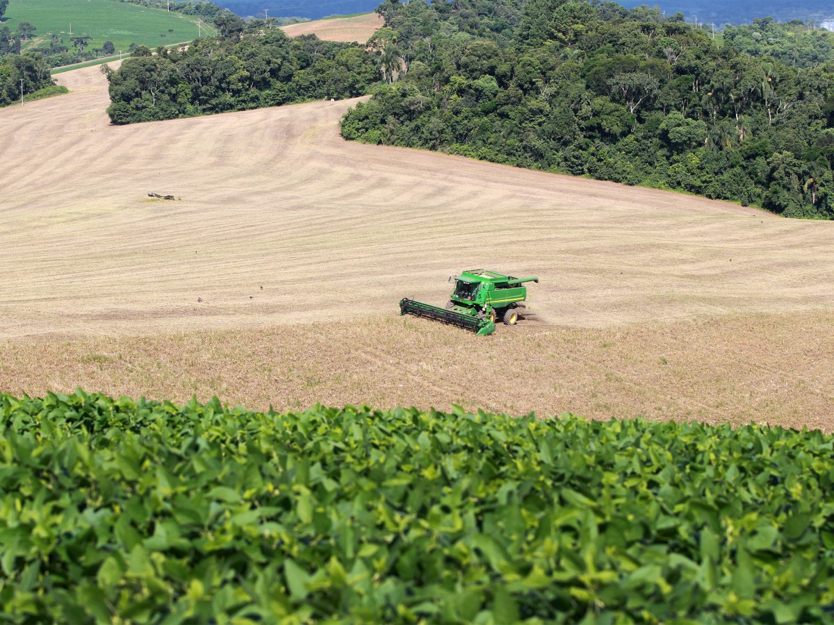 Valor Bruto de Produção da agropecuária do Paraná dobra em seis&nbsp;anos