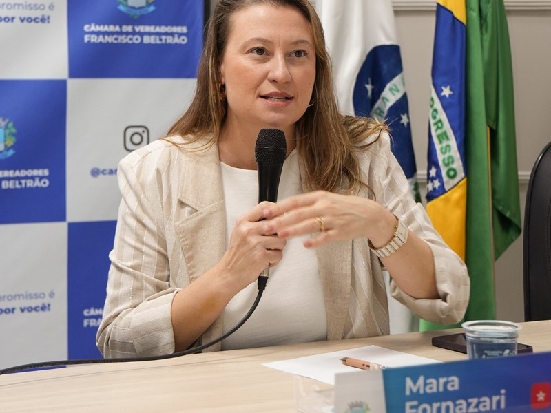 Audiência pública debate violência política de gênero na Câmara de Francisco&nbsp;Beltrão